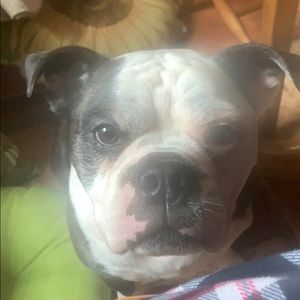 Meet your Posher, Rebecca